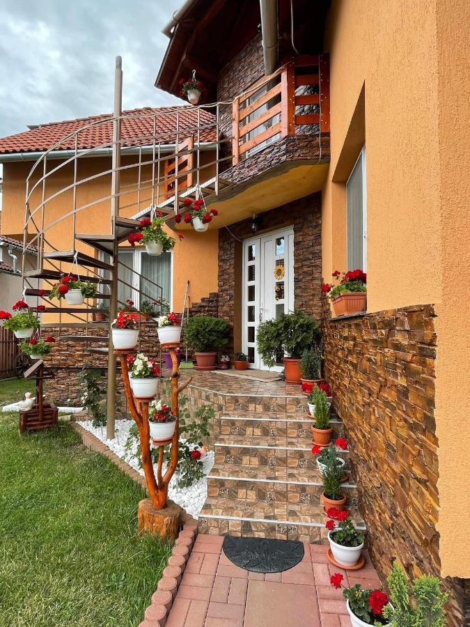 Casa De Oaspeti Cristian Praid Exterior foto